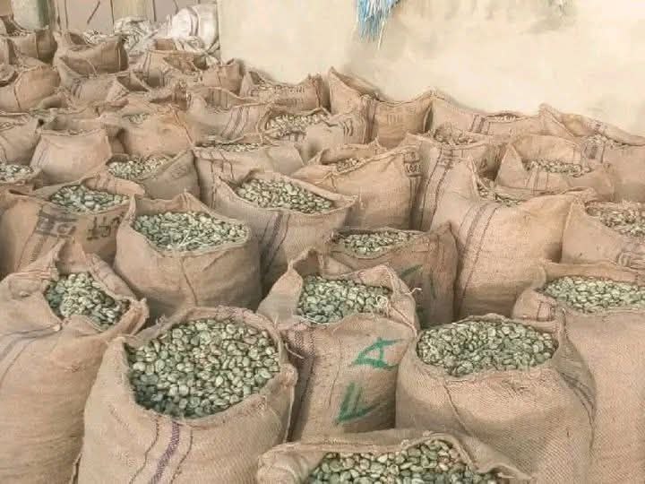 Bagged raw cashew nuts prepared for bulk handling