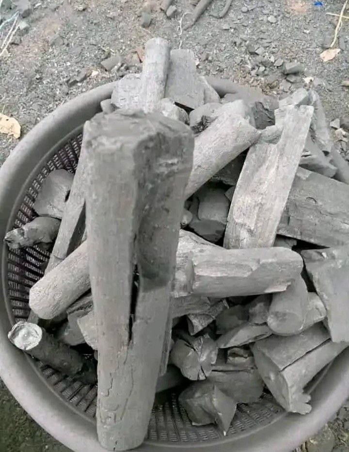 Selected charcoal pieces