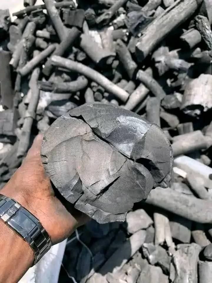 Large charcoal piece