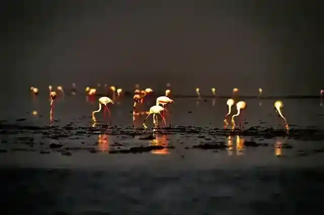 Casamance, Senegal