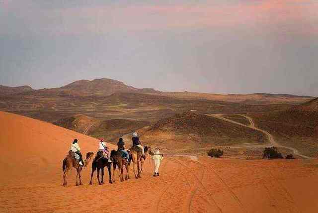 Sahara sunset