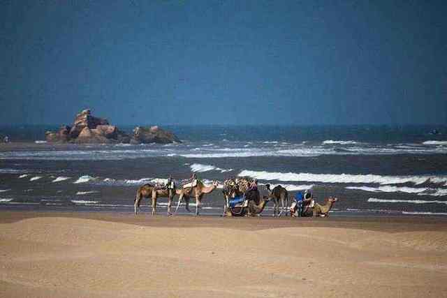 Atlantic coast